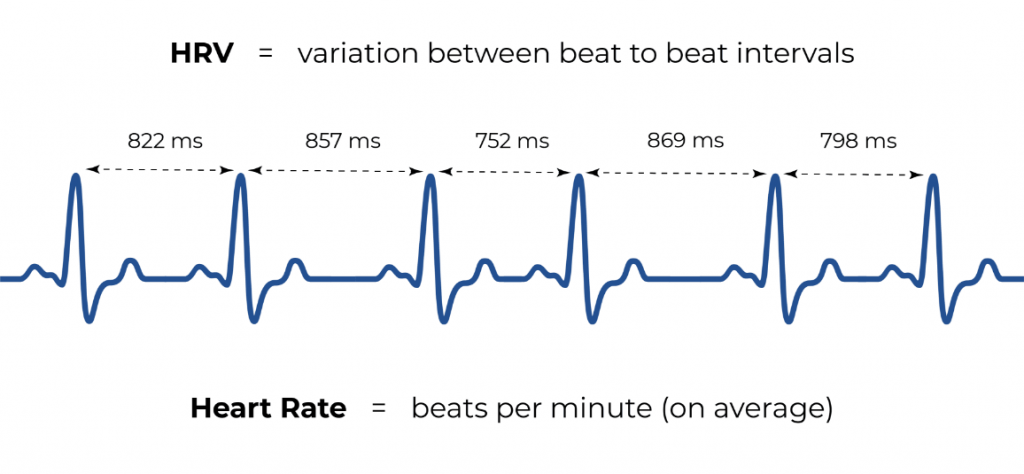 Heart Rate Variability (HRV)