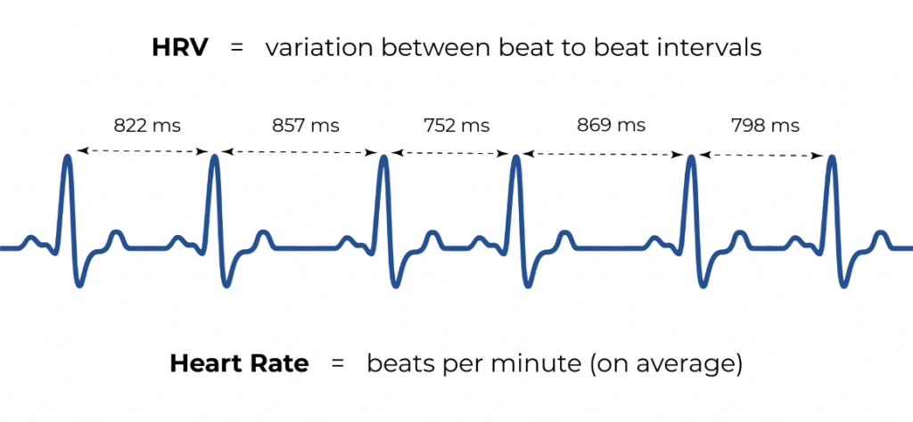 Heart Rate Variability (HRV) 