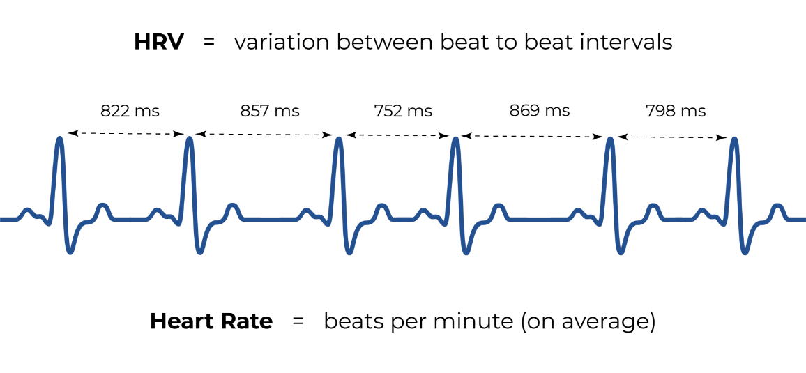 Heart rate variability does it matter tres care