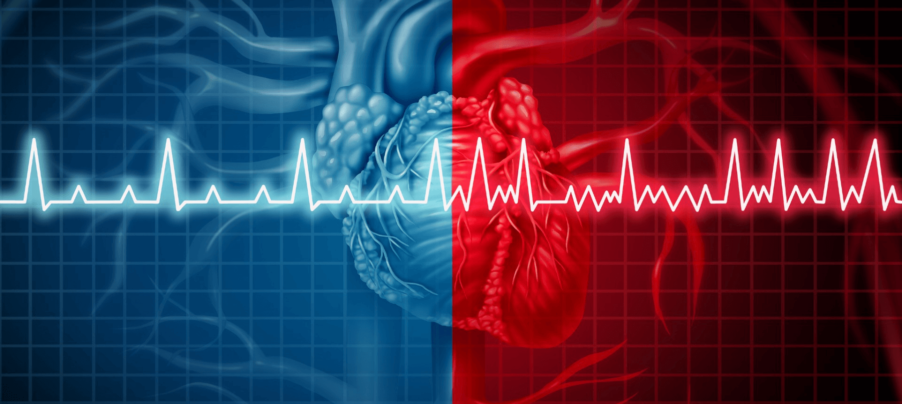 Heart Rate Variability – Does it matter?